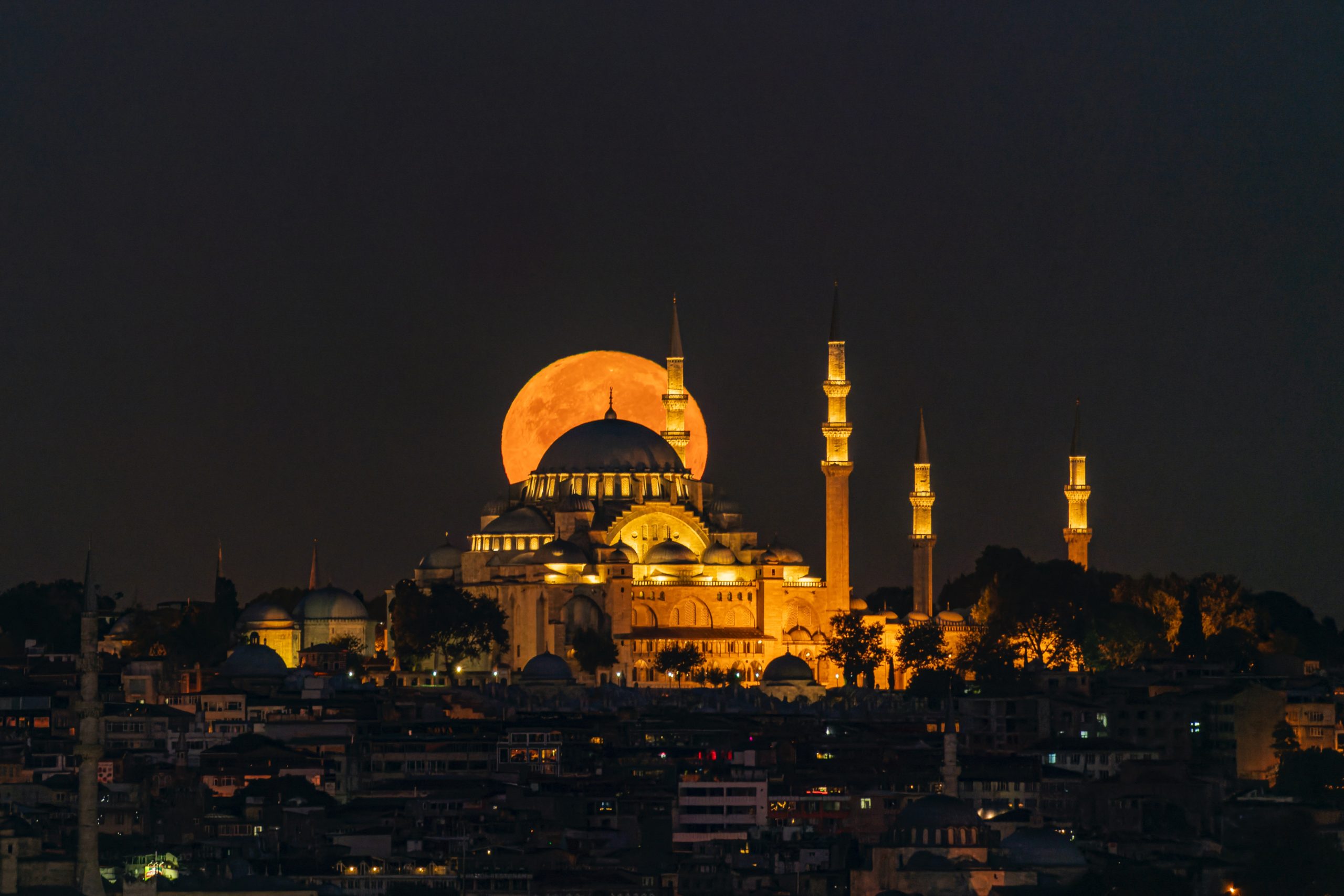 pexels-yasir-gürbüz-13591994